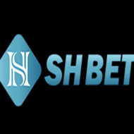 Vincent Đỗ CEO SHBET