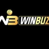 Winbuzz homes