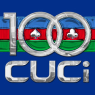 100cuci art