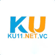 Ku11 netvc